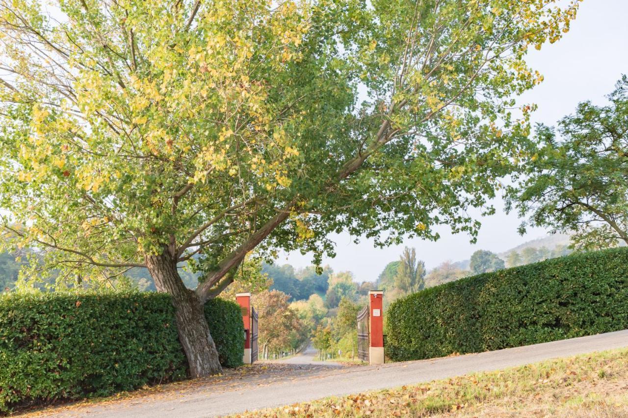 Ca Palazzo Malvasia - Bolognarooms Sasso Marconi Exterior photo
